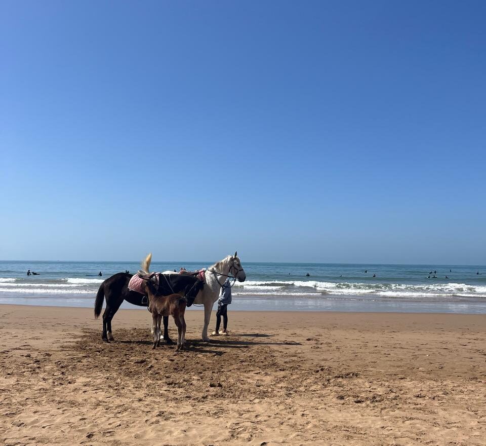 Agadir Beach