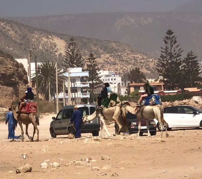Riding camels at the beach