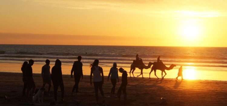 About Original Surf Morocco