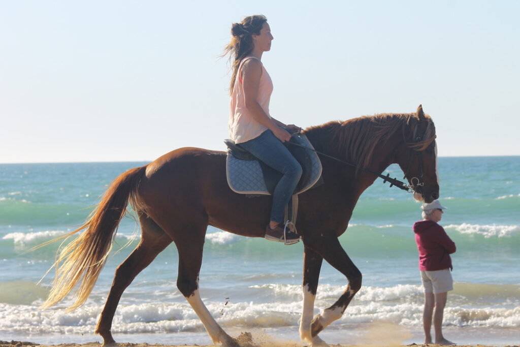 horse riding on the beach as part of Moroccan surf holiday