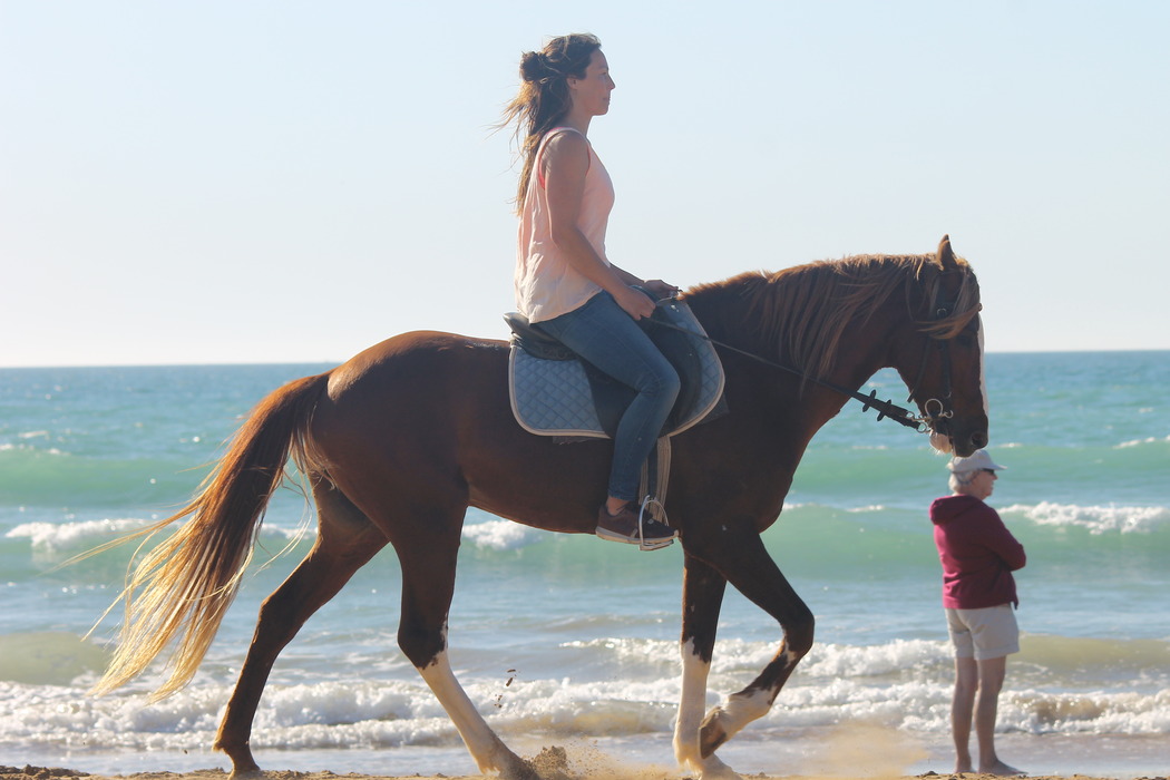 horse riding